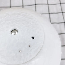 Load image into Gallery viewer, H44bbf89b8aab4bb4a0969bbcc6d0d74fU.jpg