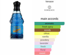 Load image into Gallery viewer, BLUE JEAN VERSACE type