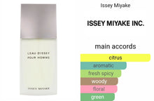 Load image into Gallery viewer, ISSEY MIYAKE type
