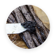 EGYPTIAN VANILLA
