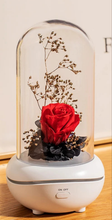 Load image into Gallery viewer, Immortal Rose Oil Fragrance Diffusers
