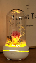 Load image into Gallery viewer, Immortal Rose Oil Fragrance Diffusers
