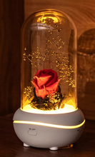 Load image into Gallery viewer, Immortal Rose Oil Fragrance Diffusers
