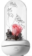 Load image into Gallery viewer, Immortal Rose Oil Fragrance Diffusers
