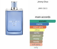 AQUA JIMMY CHOO type