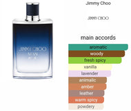 BLUE JIMMY CHOO type