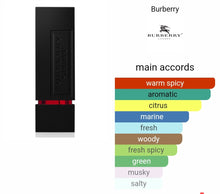 Load image into Gallery viewer, BURBERRY SPORT type

