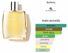 Load image into Gallery viewer, BURBERRY type
