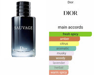 SAUVAGE DIOR  type