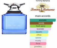 MARITIME TOMMY BAHAMA type