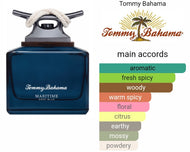 DEEP BLUE TOMMY BAHAMA type