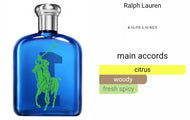 Big Pony Blue Ralph Lauren type