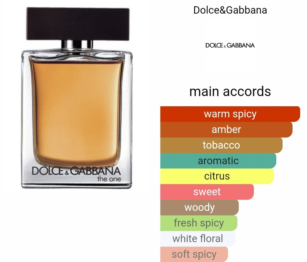 THE ONE DOLCE & GABBANA type