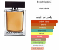 THE ONE DOLCE & GABBANA type