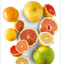 Load image into Gallery viewer, GRAPEFRUIT
