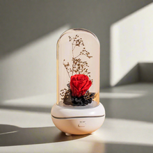 Load image into Gallery viewer, Immortal Rose Oil Fragrance Diffusers
