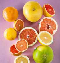 Load image into Gallery viewer, GRAPEFRUIT
