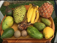 JAMAICAN FRUIT