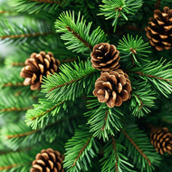 PINE CLEAN type