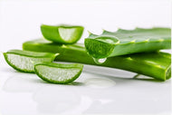 Aloe Vera type